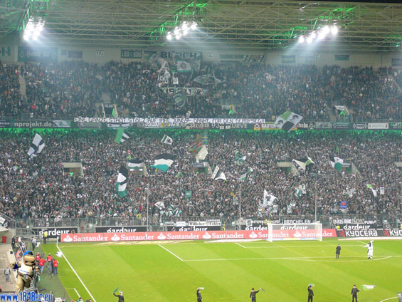 Borussia Mönchengladbach vs VfL Bochum (0-1) (3)