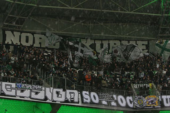 Borussia Mönchengladbach vs 1. FC Nürnberg (2-1) (4)