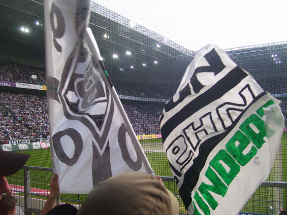 Borussia Mönchengladbach vs TSG Hoffenheim (2-4) (6)