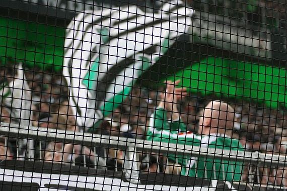 Borussia Mönchengladbach vs VfB Stuttgart (3-2) (8)