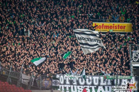 VfB Stuttgart vs Borussia Mönchengladbach (0-1) (3)