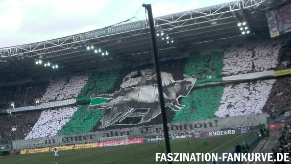 Borussia Mönchengladbach vs 1. FC Köln (1-0) (1)