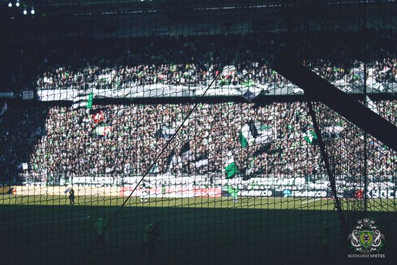 Borussia Mönchengladbach vs SC Paderborn (2-0) (23)