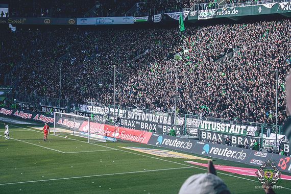 Borussia Mönchengladbach vs SC Paderborn (2-0) (26)