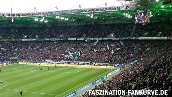 Borussia Mönchengladbach vs 1. FC Köln (1-2) (12)