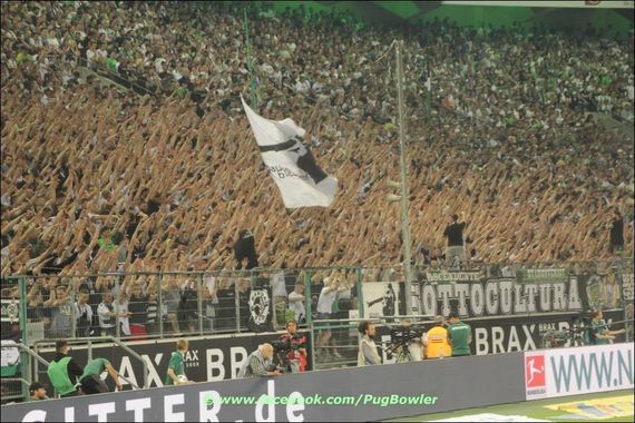 Borussia Mönchengladbach vs VfL Wolfsburg (3-0) (9)