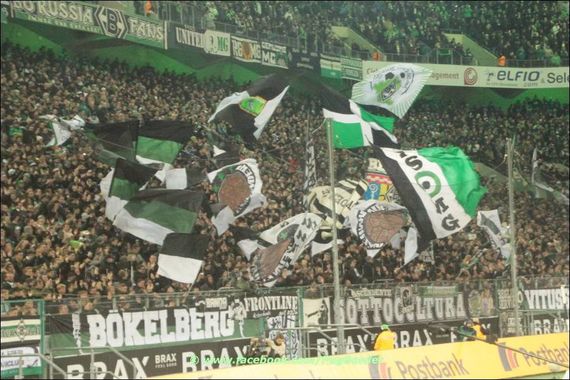 Borussia Mönchengladbach vs 1. FC Nürnberg (2-0) (3)