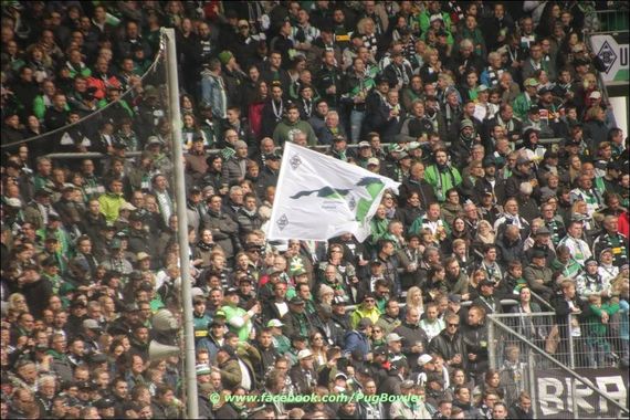 Borussia Mönchengladbach vs TSG Hoffenheim (2-2) (5)