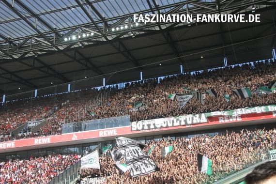 1. FC Köln vs Borussia Mönchengladbach (0-1) (20)