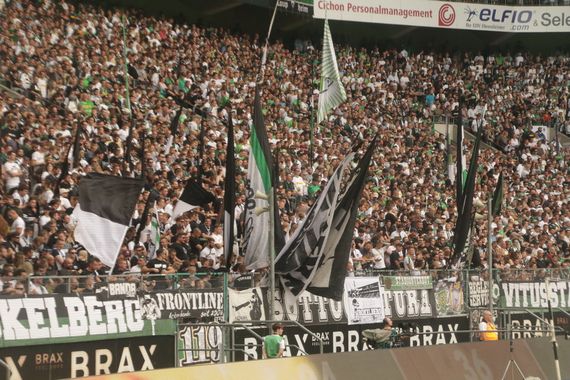 Borussia Mönchengladbach vs Fortuna Düsseldorf (2-1) (6)