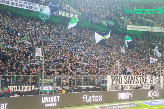 Borussia Mönchengladbach vs VfL Bochum (2-1) (2)