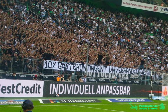 Borussia Mönchengladbach vs DSC Arminia Bielefeld (3-1) (4)