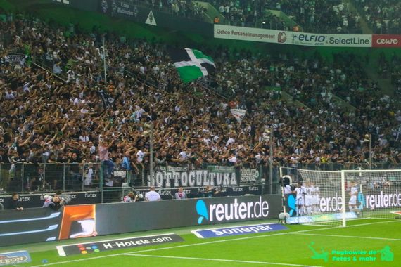 Borussia Mönchengladbach vs DSC Arminia Bielefeld (3-1) (7)