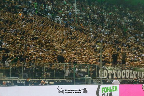 Borussia Mönchengladbach vs DSC Arminia Bielefeld (3-1) (9)