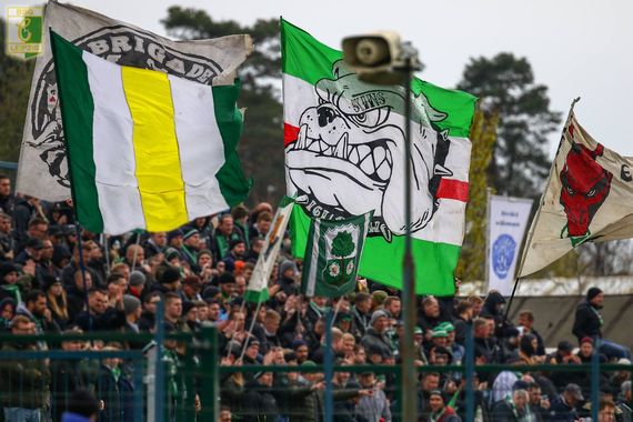 Ludwigsfelder FC vs BSG Chemie Leipzig (1-1) (1)