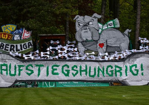 VfL Hohenstein-Ernstthal vs BSG Chemie Leipzig (0-1)