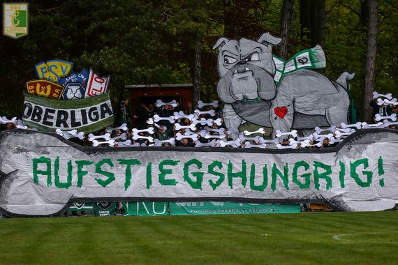 VfL Hohenstein-Ernstthal vs BSG Chemie Leipzig (0-1) (1)