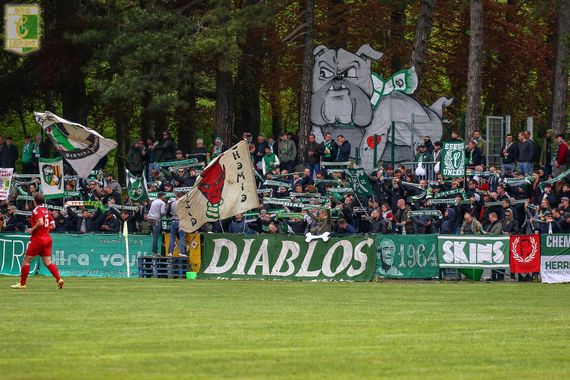 VfL Hohenstein-Ernstthal vs BSG Chemie Leipzig (0-1) (2)