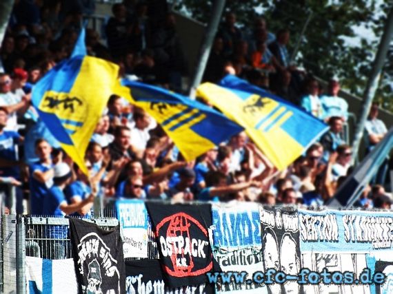 SG Sonnenhof-Großaspach vs Chemnitzer FC (4-2) (10)