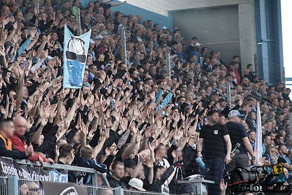 Chemnitzer FC vs Hallescher FC (1-1) (10)