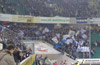 VfL Wolfsburg vs DSC Arminia Bielefeld (5-0)