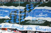 DSC Arminia Bielefeld vs Borussia Dortmund (1-0)