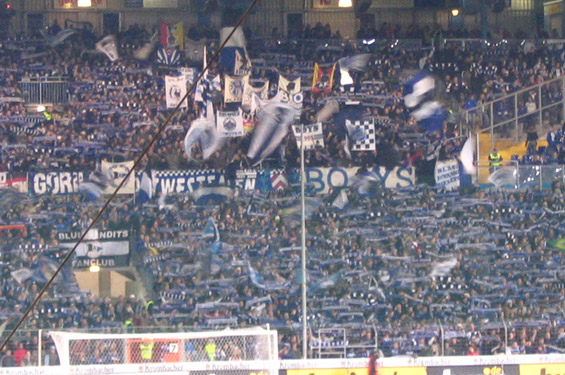DSC Arminia Bielefeld vs VfL Wolfsburg (0-0) (3)