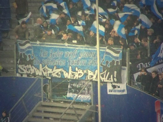 Hamburger SV vs DSC Arminia Bielefeld (2-0) (3)