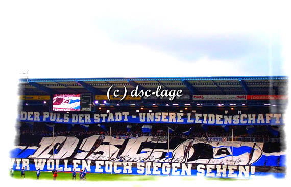 DSC Arminia Bielefeld vs VfL Osnabrück (1-1) (7)