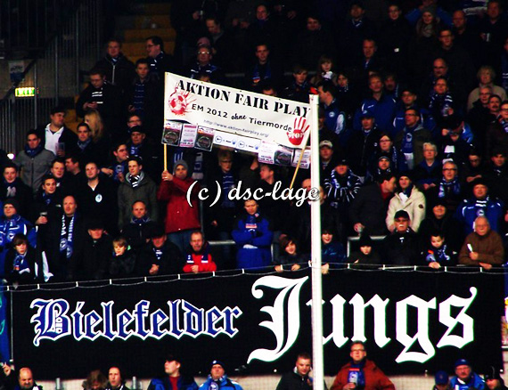 DSC Arminia Bielefeld vs SSV Jahn Regensburg (1-1) (2)