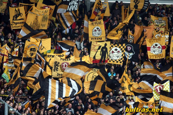 Dynamo Dresden vs Offenbacher FC Kickers (1-0) (4)