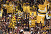 Dynamo Dresden vs VfB Stuttgart II (0-1)