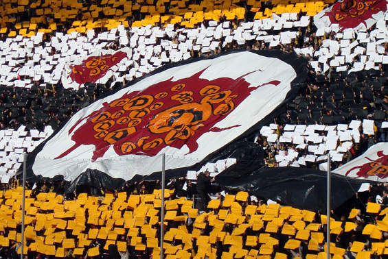 Dynamo Dresden vs FC Rot-Weiß Erfurt (1-0) (3)