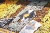Dynamo Dresden vs FC Hansa Rostock (2-2)