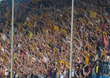 VfL Bochum vs Dynamo Dresden (1-1)