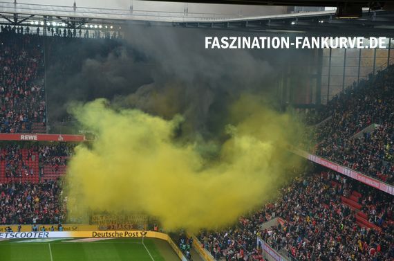 1. FC Köln vs Dynamo Dresden (8-1) (16)