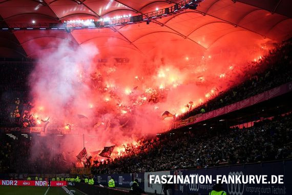 Hamburger SV vs Dynamo Dresden (1-0) (1)