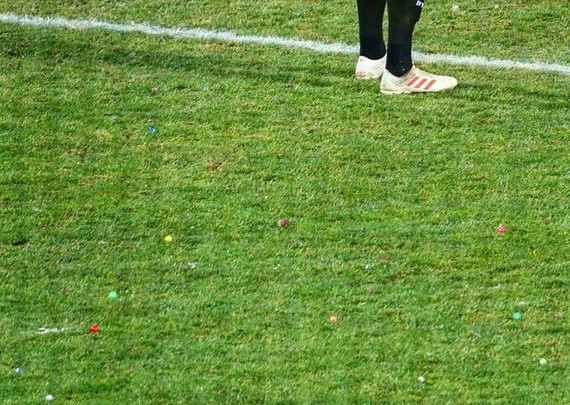 FSV Zwickau vs Eintracht Braunschweig (0-1) (3)