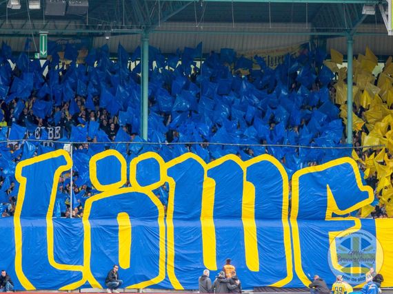 Eintracht Braunschweig vs Hallescher FC (1-1) (6)