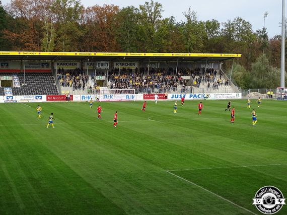 SG Sonnenhof-Großaspach vs Eintracht Braunschweig (1-3) (7)