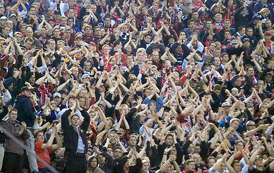 Hannover 96 vs Eintracht Frankfurt (3-0) (3)