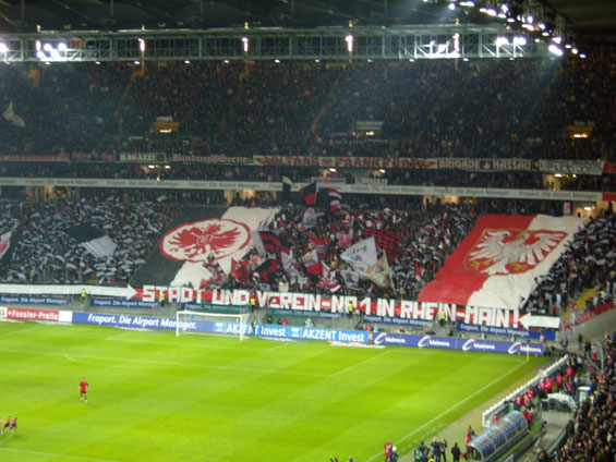 Eintracht Frankfurt vs 1. FSV Mainz 05 (2-0) (24)