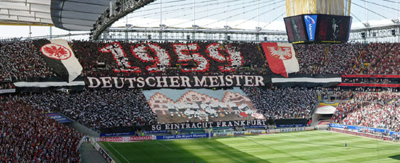 Eintracht Frankfurt vs 1. FC Nürnberg (1-1) (36)