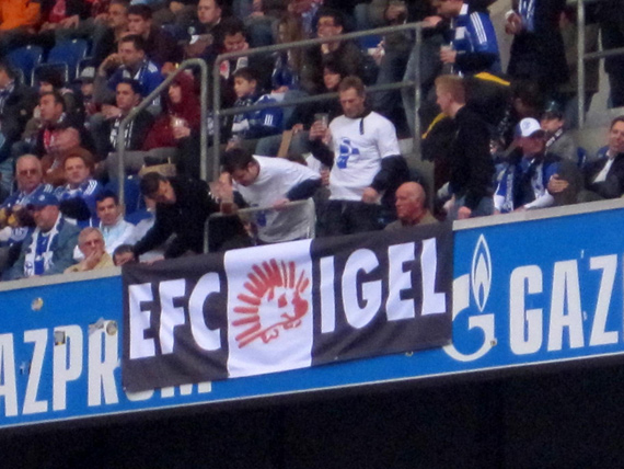 FC Schalke 04 vs Eintracht Frankfurt (2-1) (25)