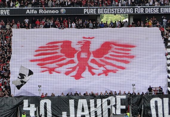 Eintracht Frankfurt vs TSG Hoffenheim (3-1) (8)