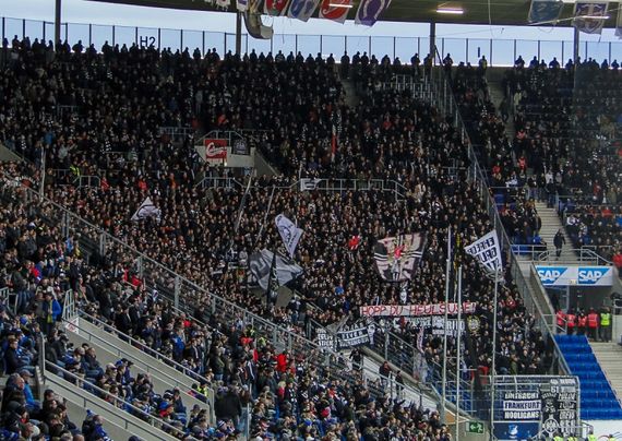 TSG Hoffenheim vs Eintracht Frankfurt (1-1) (9)