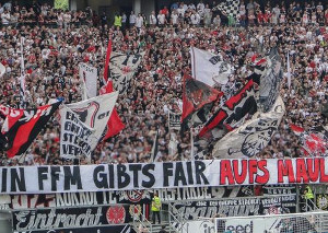 Eintracht Frankfurt vs VfL Wolfsburg (0-1)