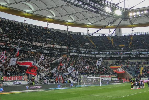 Eintracht Frankfurt vs 1. FSV Mainz 05 (3-0) (18)