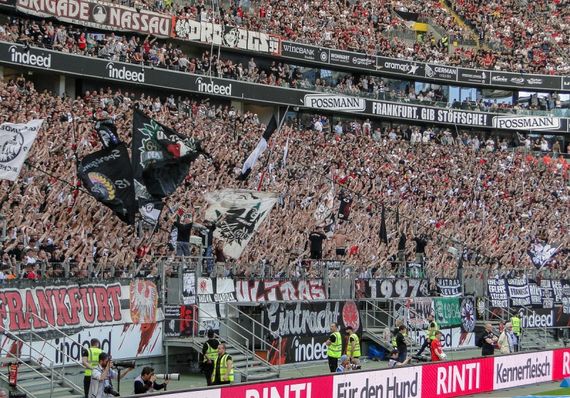 Eintracht Frankfurt vs Hamburger SV (3-0) (15)