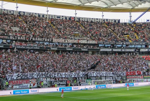 Eintracht Frankfurt vs Hamburger SV (3-0) (18)